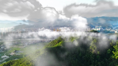 21、《青春大埔》