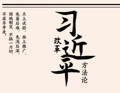 习近平改革方法论｜种苗圃 不做盆景