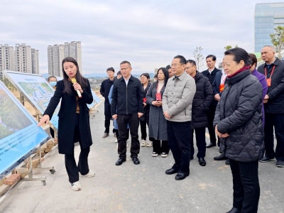 市人大常委会组织在梅全国、省人大代表开展集中视察活动：深入基层察实情 履职尽责促振兴