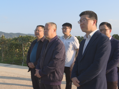 省发展改革委（省大湾区办）调研组到蕉岭调研：扎实推进“百千万工程”，全力推动县域经济高质量发展