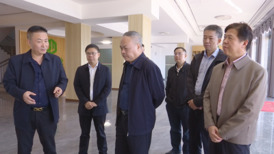 省林长制和绿美广东生态建设现地核查组到蕉岭开展现地核查，奋力打造人与自然和谐共生的绿美广东蕉岭样板