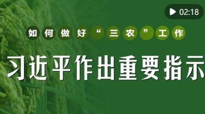 微视频｜如何做好“三农”工作？习近平作出重要指示