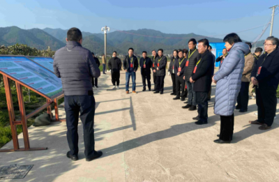 市政协提案委组织开展“百千万工程”考察并召开全体成员会议：推动提案工作不断提质增效