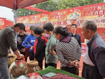 蕉岭专场，来啦！2023“梅品惠”全市促消费活动暨梅州汽车家电下乡巡回展举行