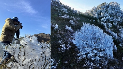 记者登顶阴那山五指峰，冬至陪你看“雾凇冰挂”！