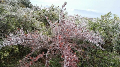 “探探尊”…未来一周，梅州天气持续...