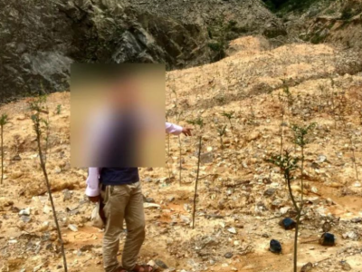 丰顺公安森林警察大队侦破2宗涉图斑毁林刑事案件