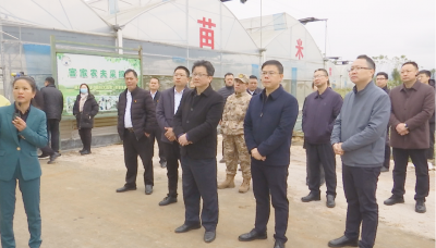 蕉岭县委常委会到三圳镇调研并召开会议，扬优势谋突破，奋力在“百千万工程”赛道上走在前列