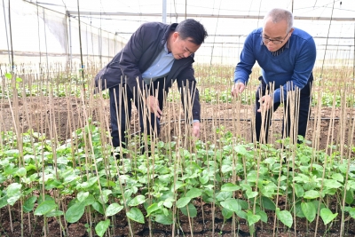 梅州探索设立“产业村长”，以产业兴旺助力“百千万工程”推进乡村振兴！