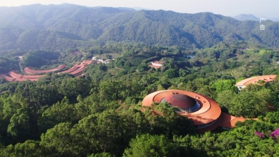 唐茶宋韵，客家炒绿！长寿梅州温肚茶《客家炒绿》宣传片将登陆广东卫视