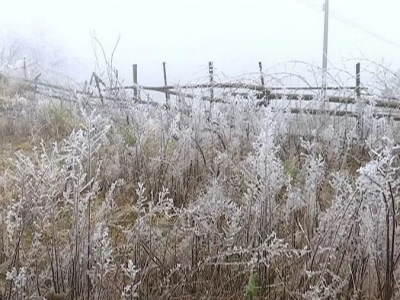 梅州结束防冻Ⅳ级应急响应！