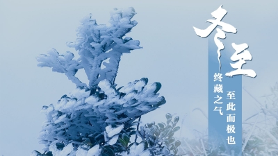 今日冬至：愿冬日所盼，终如约而至！