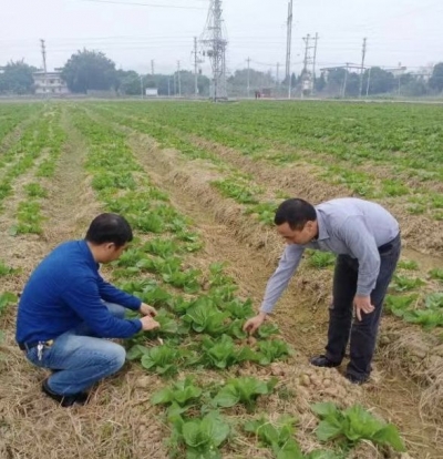 保障群众安全温暖过冬！兴宁市多措并举应对低温霜（冰）冻天气影响