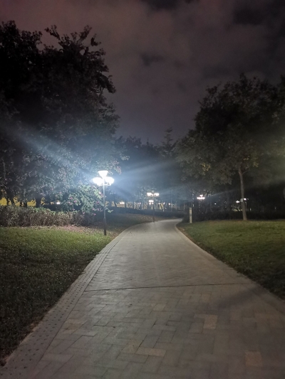 民生追踪丨湿地公园大部分路灯已修复  