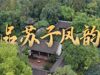 跟着总书记学历史第二季丨品苏子风韵