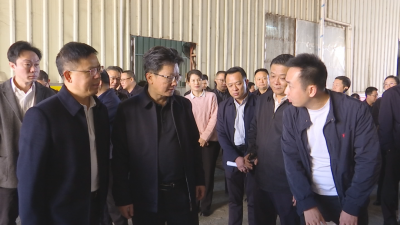 蕉岭县委常委会到蕉城镇调研并召开会议：以“头号力度”实施“百千万工程” ，奋力在高质量发展的“第一方阵”中争先进位