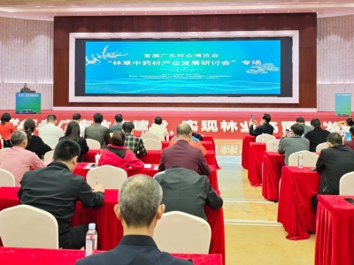 专家集结梅州！首届广东林业博览会“林草中药材产业发展研讨会”举行