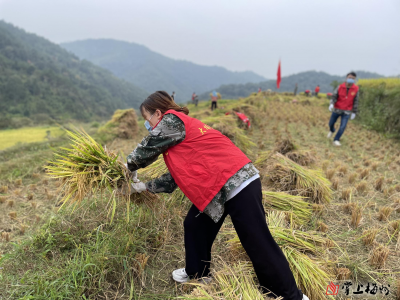 唱响青春赞歌！大埔县聚力推动基层团组织建设高质量发展