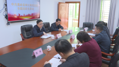 刘裕君到县审计局党支部指导主题教育专题组织生活会：强化质效提升效能，为高质量发展提供坚强审计保障