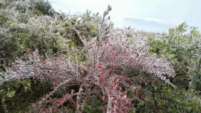 梅州7个县（市、区）发布寒冷红色预警，注意防寒防冻！