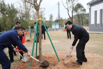 张志锋等领导带头参加机关联基层共建共管绿美丰顺大行动植树活动 党建引领聚合力 携手同心添新绿