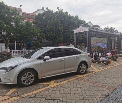 随意停放车辆、草地遗留垃圾…元旦假期不文明出游行为仍存在