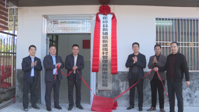 抱团发展，共同奔富，新铺镇“强村公司”揭牌成立