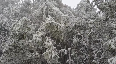 -6.9℃，梅州这波“速冻”有点猛！好消息：明起升温