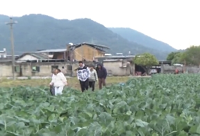 以“动”制“冻”！梅江区农技人员深入田间地头支招防寒防冻