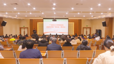 广东医科大学附属医院适宜技术推广培训会在蕉举行