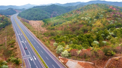 路从绿中过，车在景中行！梅平高速这段“高颜值”绿美廊道你打卡了吗？
