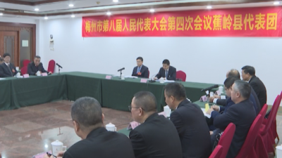 市八届人大四次会议蕉岭代表团召开全体会议，推选刘鸿涛为团长、临时党支部书记