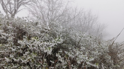 登高看“雪”注意！因路面结冰，通往丰顺八乡山鸿图嶂道路已暂时封闭