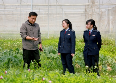 以税为笔 绘就助农好丰景！蕉岭县以“税惠+服务”助力“百千万工程”推动高质量发展