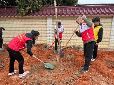 全民植树造“绿”！梅江区金山街道开展“我为家乡种棵树”活动