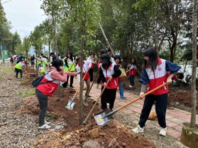 绿美梅江 青年先行！梅江青年共植“青年林”