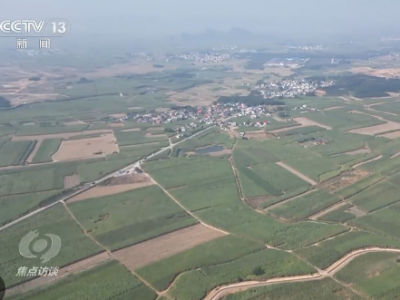 焦点访谈丨牢记总书记嘱托 种业振兴食物丰