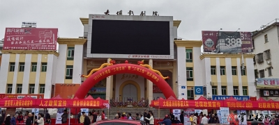 吸引人才回家！大埔举办这场招聘会→