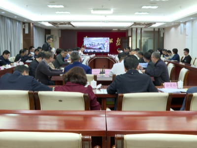 大埔县召开县政府党组（扩大）会议和十六届【2024】第2次县政府常务会议