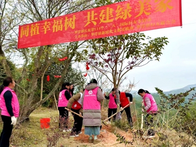 “党建红”引领“生态绿”，兴宁罗浮镇绘就绿美新画卷