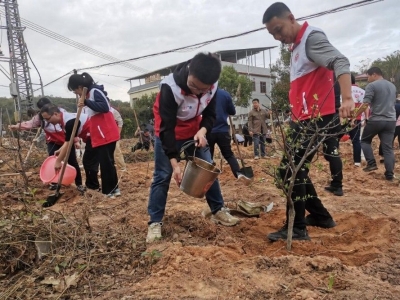 植绿护绿进行时！用“绿”色画笔绘就兴宁径南“百千万工程”新画卷