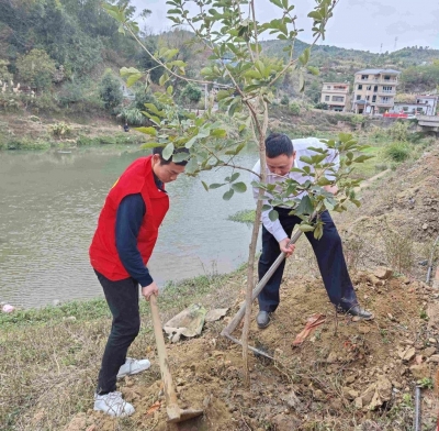 共建绿美新黄陂！行动，一起植树！