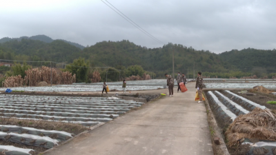 奏响绿美生态“进行曲”！平远仁居镇凝心聚力植树“添绿” 