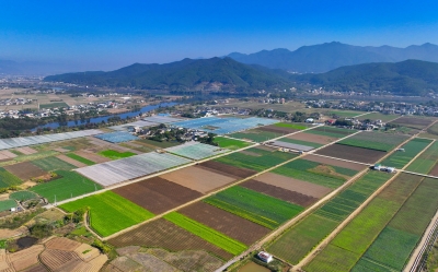 激发乡村发展新动能！蕉岭县扎实推进耕地保护和土地节约集约利用