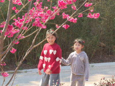春节假期，蕉岭县美丽乡村游成“新宠”