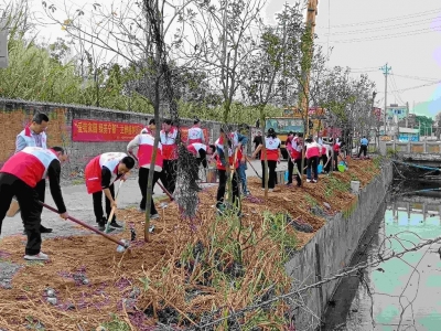 为绿美家园充“植”！兴宁市宁新街道党员干部开展主题植树活动