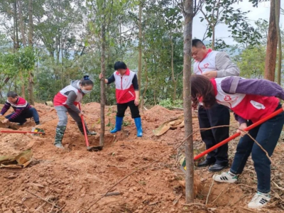 梅州：千村增绿 先锋在行动