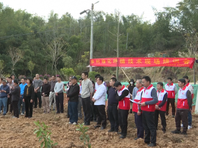 兴宁市举办乡村绿化种植技术现场培训会