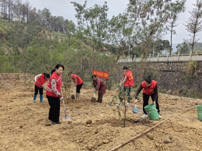 党建引领绿美社区建设！蕉岭县文福社区党支部联合开展志愿植树活动