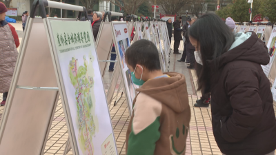 蕉岭举办非物质文化遗产图片展